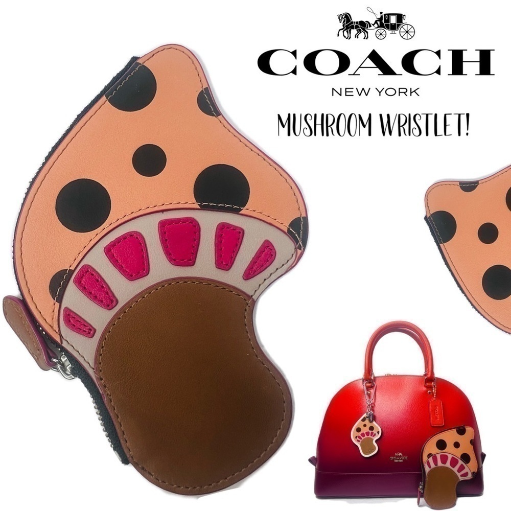 COACH MUSHROOM NOVELTY COIN CASE BAG GLOVETANNED LEATHER SILVER STYLE # F66185